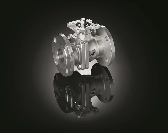 FD9 Series Firesafe ASME 300