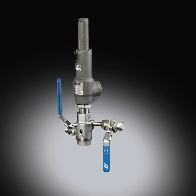 WB/W6 Series: Dual Valve Isolation